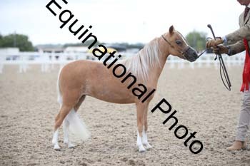MCC-1020