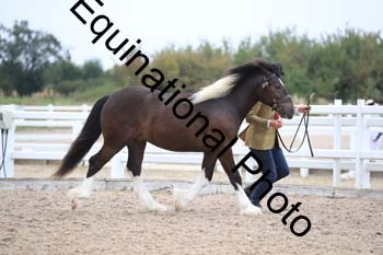 MCC-1407