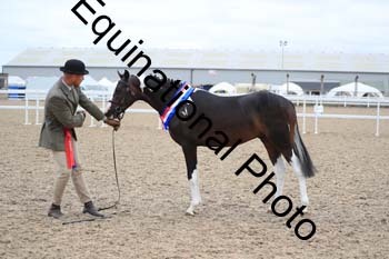MCC-1420