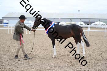 MCC-1423
