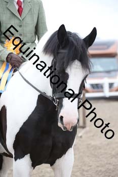 OKN-1114