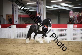 YLL-024