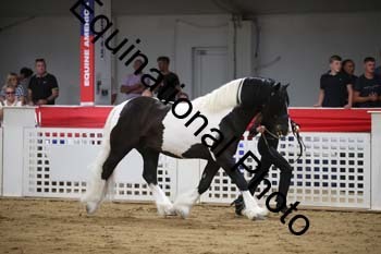 YLL-038