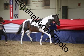 YLL-053