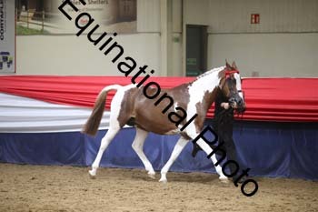 YLL-062