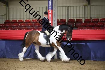 YLL-350