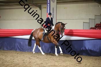 YLL-404