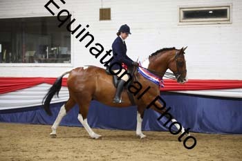 YLL-560