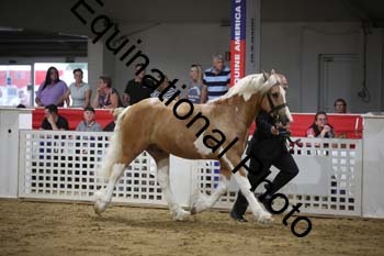 YLL-594