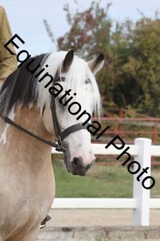 HTX-1126