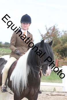 HTX-1356