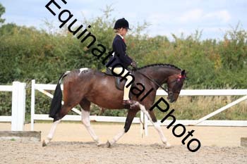 HTX-1661