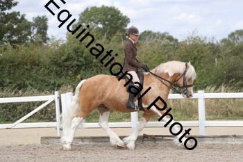 HTX-1805