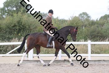 HTX-2033