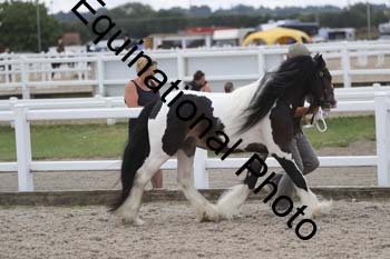 MCN-1140