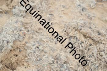 MCN-1673
