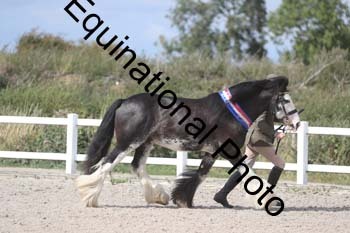 MCN-2133