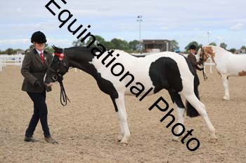 PTA-1037