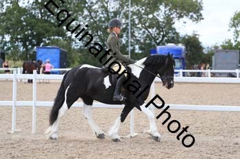 PTA-1565
