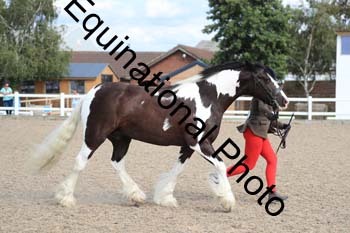PTA-1632