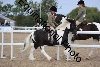 1_QBE-1045