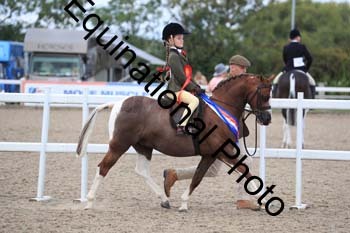 QBE-1423