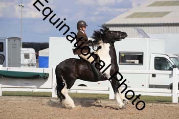 QBE-2228
