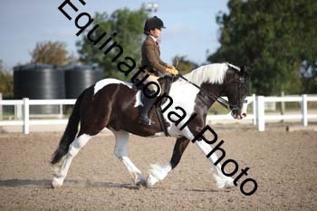 SSW-1031