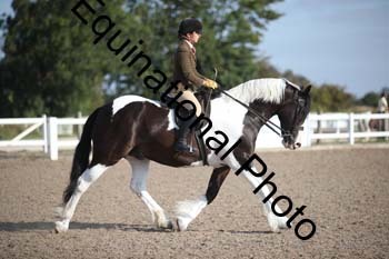 SSW-1032