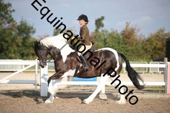 SSW-1049