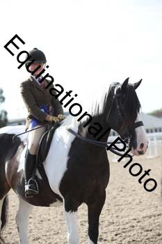 SSW-1062