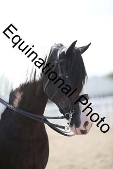 SSW-1064