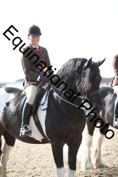 SSW-1067