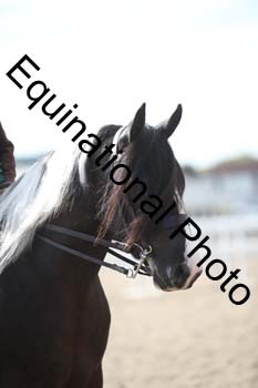 SSW-1075