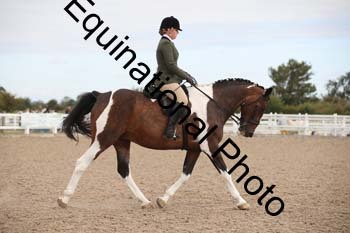 SSW-1115