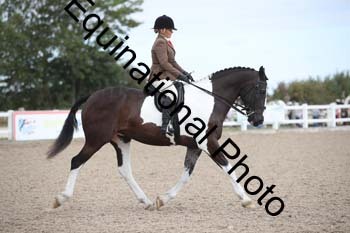 SSW-1121