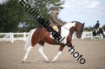 SSW-1256