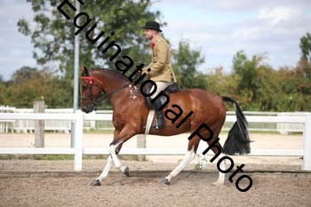 SSW-1267