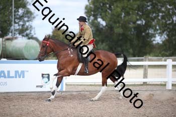 SSW-1287
