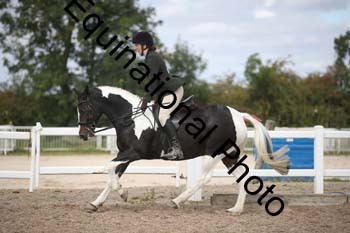 SSW-1293