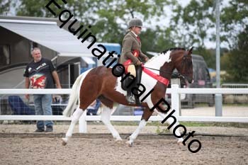 SSW-1340