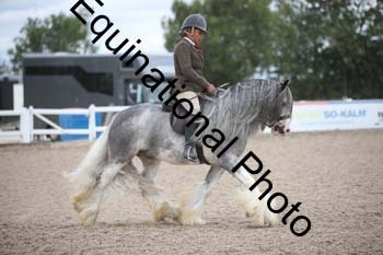 SSW-1396
