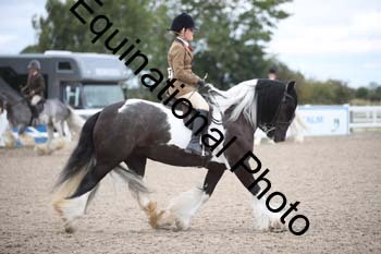 SSW-1404