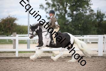 SSW-1409