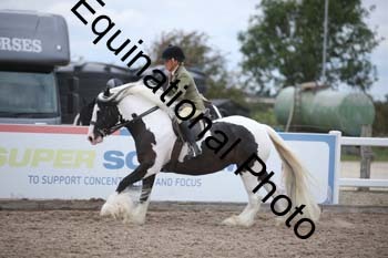 SSW-1432