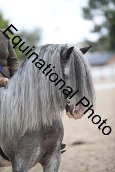 SSW-1442