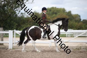 SSW-1533