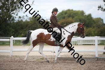 SSW-1709
