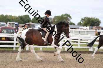 VDF-1121