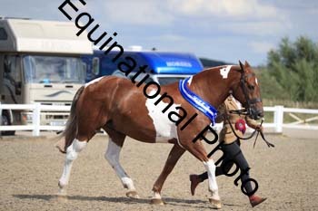 VDF-1437